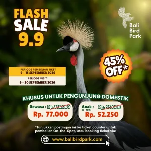 Flash Sale 9.9 Flash Sale 9.9