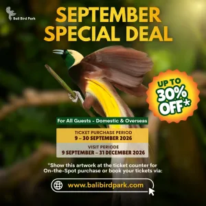 September Deal September Deal