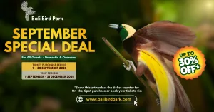 September Special Deal