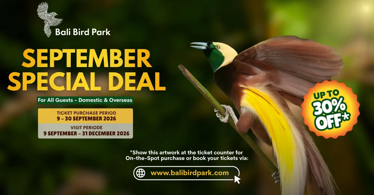 September Special Deal