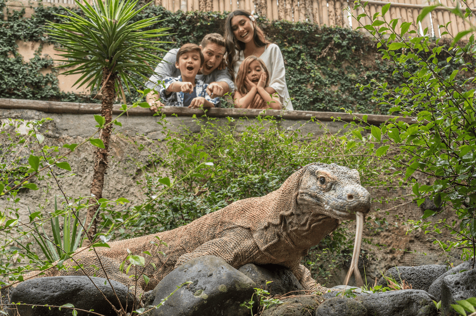 conservation in Bali